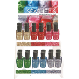 Seashells Display Big