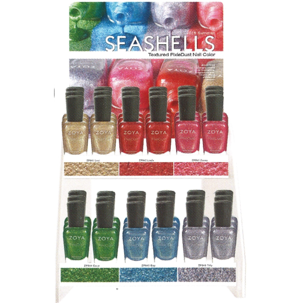 Seashells Display Big