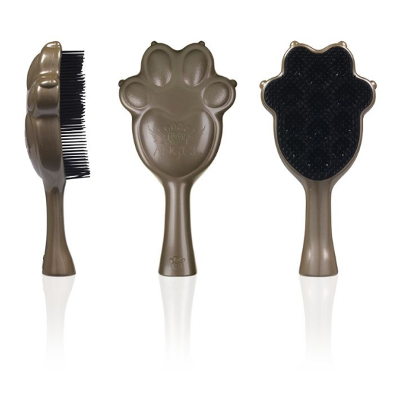 pet-angel-bronze2-2015